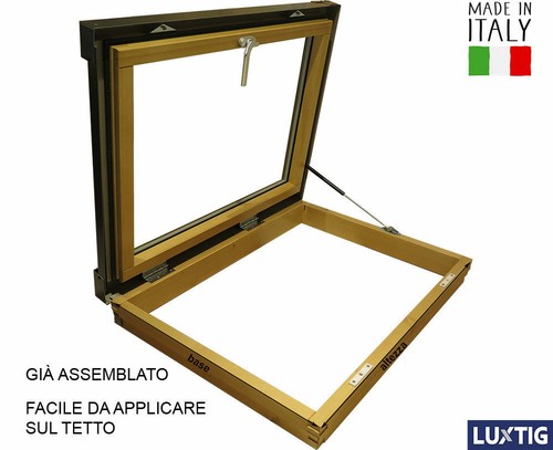 Finestra per tetto porta - finestra,