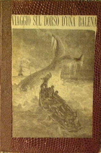 Capitano della pandora - il,