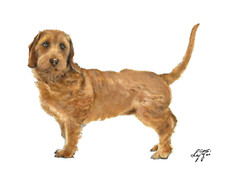 ✿ Original Oil Dog Portrait