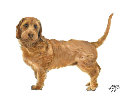 Dipinto ritratto cane - dipinto,