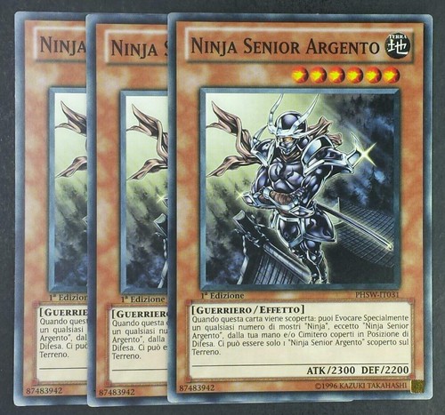 Set carte ninja - set, senior