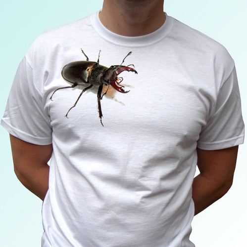 Shirt bianca scarabeo - t-shirt,