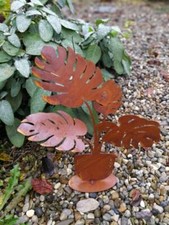 Filodendro in acciaio inox su