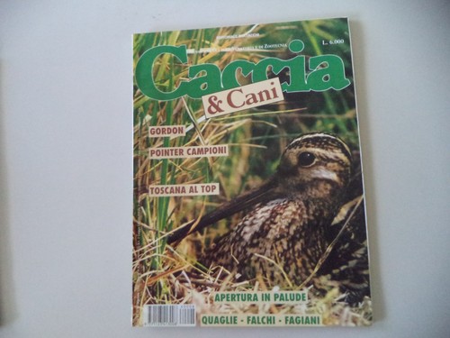 Caccia cani 8 agosto - 8,