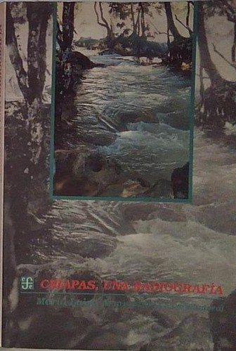 Armendariz chiapas una - armendariz,