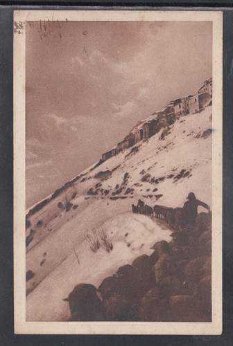 Cartolina ovindoli gregge - gregge, di