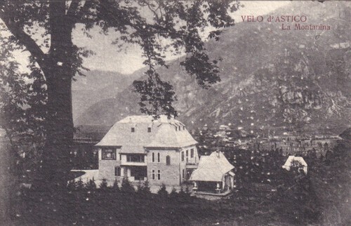 Cartolina vicenza velo - cartolina, ,velo
