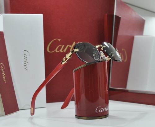 Occhiali sole cartier - sole,