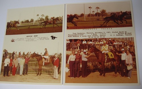 Paradise turf track - phoenix, az