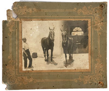 Foto antica cavalli con - cavalli,