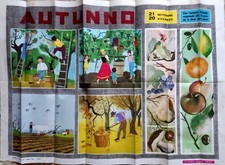 manifesto poster scolastico autunno stagioni natura scienza scuola anni 60