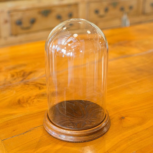 Piccola cupola espositore