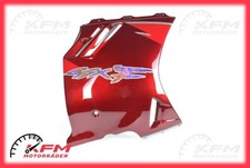 Suzuki GSX-F 1100 carena