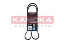 CINGHIA COSTINE V KAMOKA