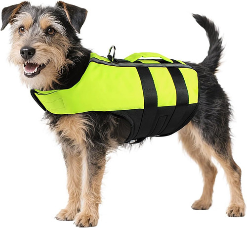 Giubbotto salvagente per cani - giubbotto,