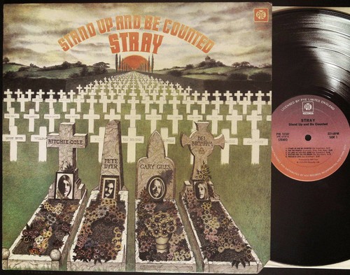Stand and counted stray - stand,