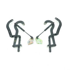 Cerniere portellone posteriore