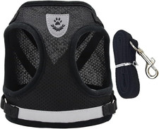 Pettorina per Gatti Con