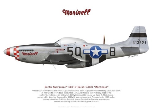 Print warbird 51d mustang - warbird,