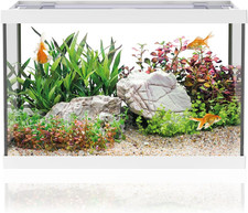 One Mini Acquario in Vetro