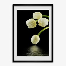Tulup Foto auf MDF