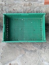 Cassette PVC Richiudibili 20 Pz Portaoggetti Vassoi - Espositori Frutta Ortaggi 