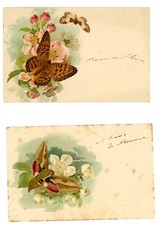 CARTOLINE FARFALLE PICCOLE IND. LUNGO PRIMI '900 NO VIAGGIATE (6/16)