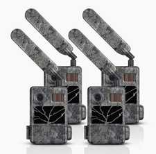 Confezione 4x Zeiss Secacam 3