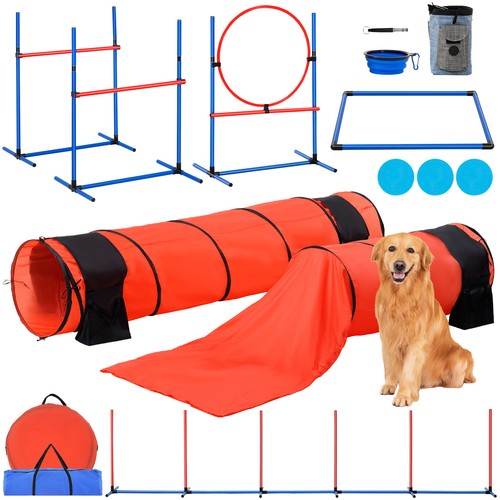 Dog agility training kit - dog,