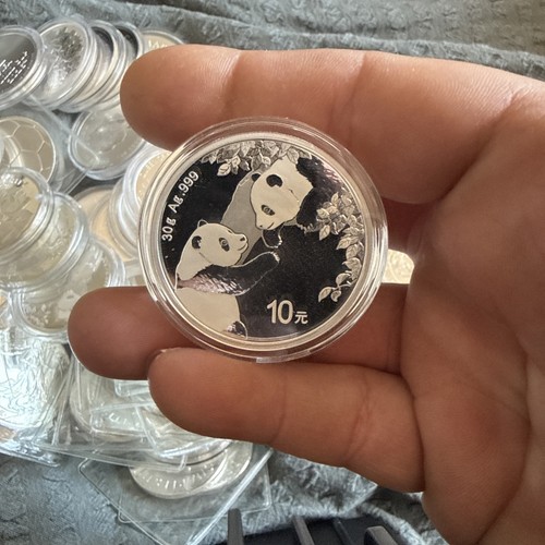2023 cina panda - cina, 30g