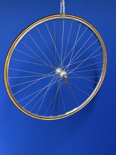Bici corsa campagnolo delta - campagnolo,