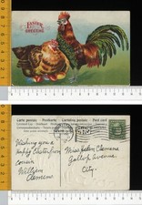 V01175] BUONA PASQUA  EASTER - GALLO E GALLINA COVA UOVA _ IN RILIEVO 1911