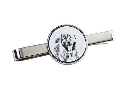 Cane pastore del caucaso - cane, da