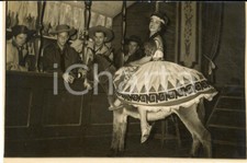 1956 PARIS Gaîté Lyrique - Nouvelle opérette "Minnie Moustache" *Photo 18x13 