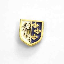 Distintivo spilla pin - , in