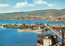 Cartolina Trieste panorama