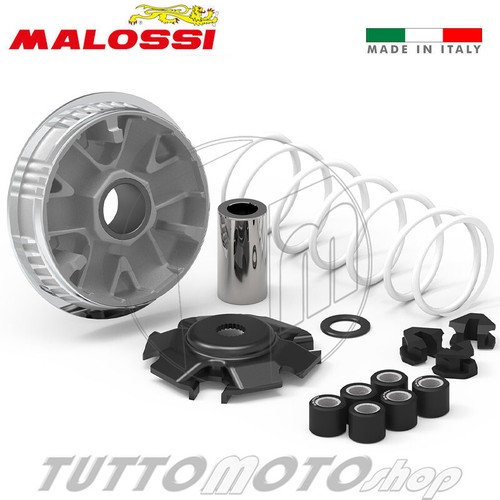 Variatore malossi kymco - kymco, grand