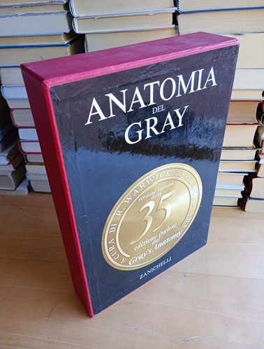 Anatomia del gray - del,