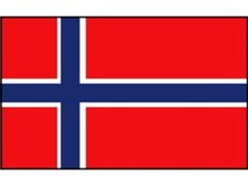 Bandiera Norvegia 20x30cm