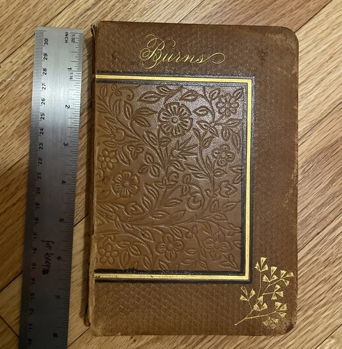1886 robert burns - burns, poetry