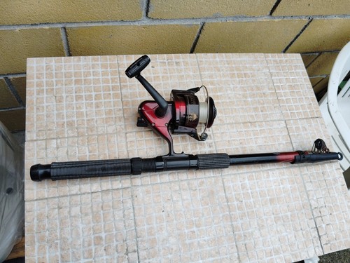 Canna pesca con mulinello - da,