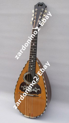 Mandolino solista fratelli - solista,