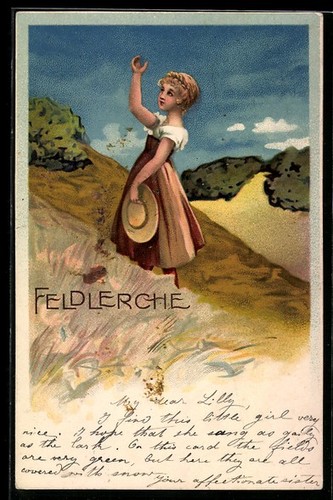 Allodole piccola signora nel - allodole,,