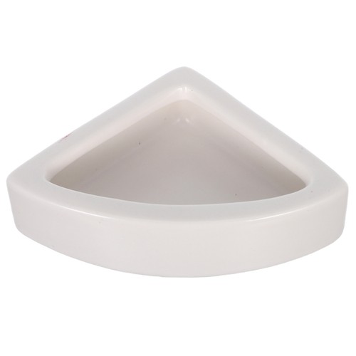 1pz rettili lucertola - ,