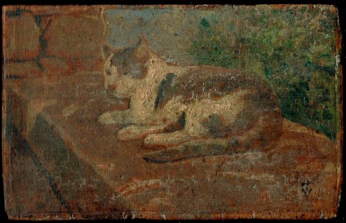 Gatto micio dipinto olio - micio,