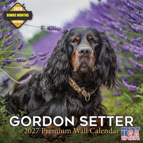 Calendario gordon setter - calendario,