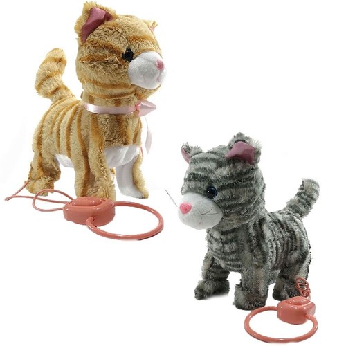 Cucciolo gattino filo - , guidato
