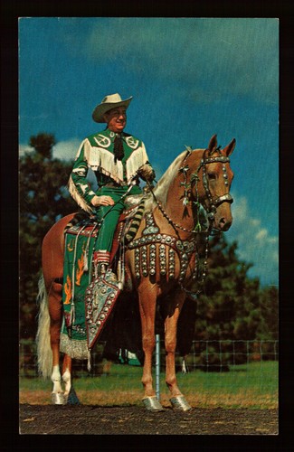 Cartolina stallone palomino - cartolina,