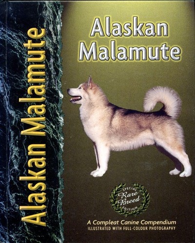Alaskan malamute - malamute, (pet