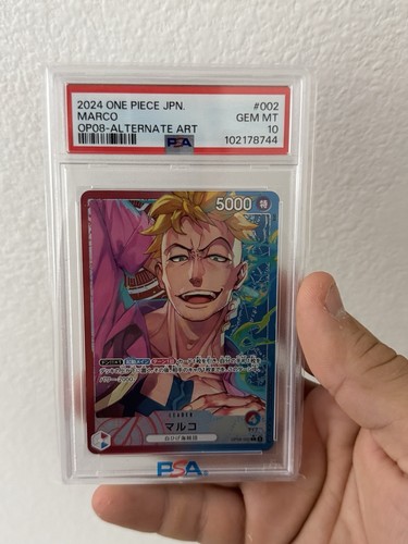 2024 one piece marco - 2024,